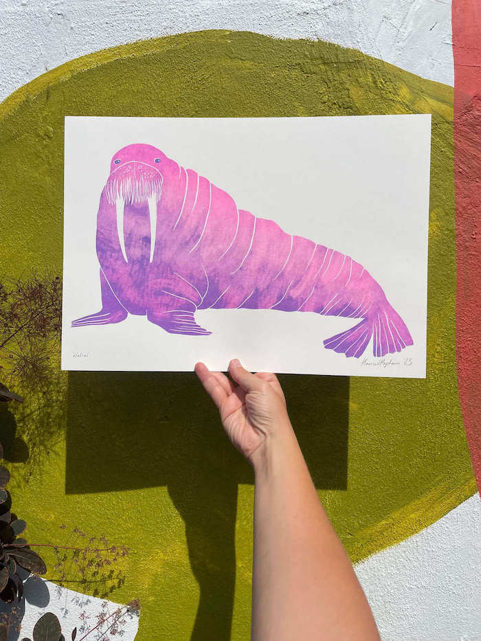 Walrus Print Walrus A3 risograph print homeware shops bristol gift shops bristol Harriet Popham