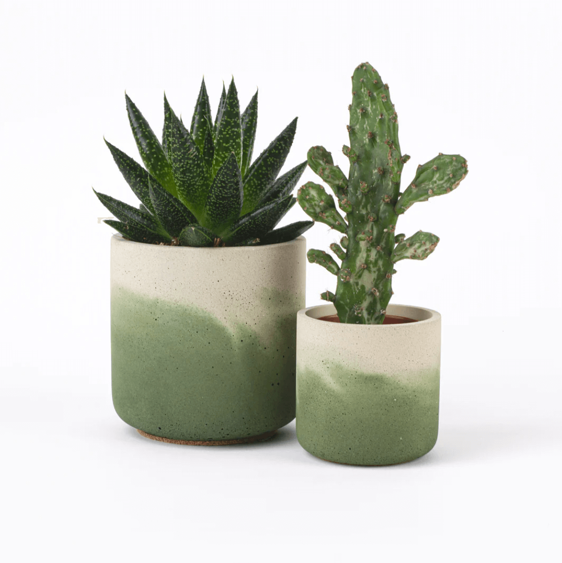 Pot Moss Fade Pot Small (various colours) homeware shops bristol gift shops bristol Desire North Design