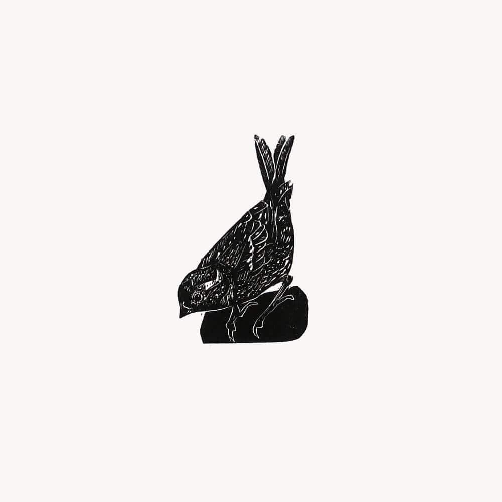 Prints Sparrow British Birds Wood Engraving - Various Birds homeware shops bristol gift shops bristol Fiona Hamilton