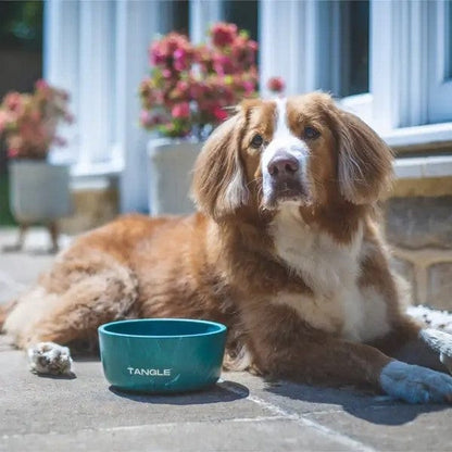 Dog Bowl Recycled Fishing Net Dog Bowl homeware shops bristol gift shops bristol Tangle