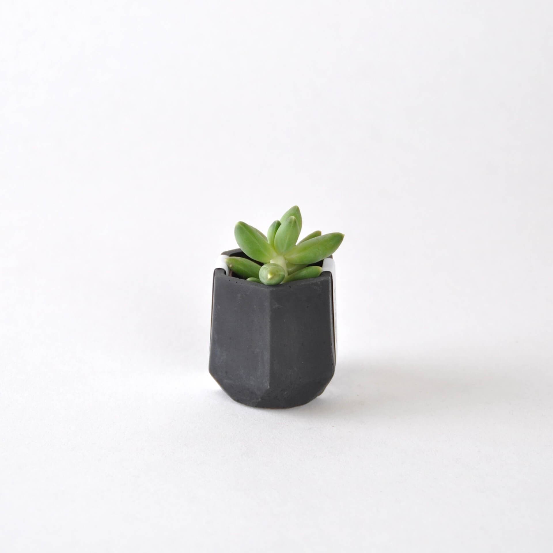 Vessel Black Concrete Mini Vessel - Hexagon (various colours) homeware shops bristol gift shops bristol Fern
