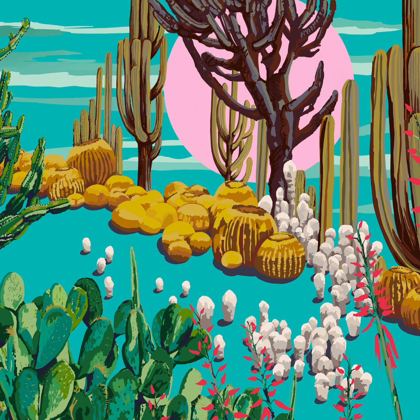 Greetings Card Cactus Garden Series No. 1 Greetings Card homeware shops bristol gift shops bristol Rosie Reiter