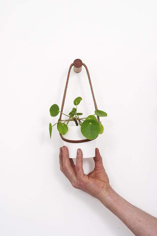 Plant Hanger Brown / Small Peg Wall Hanger with Hanging Pot (various sizes and colours) homeware shops bristol gift shops bristol Wolfram Lohr